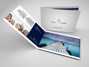 Ideative studio: company profile Tools for Training